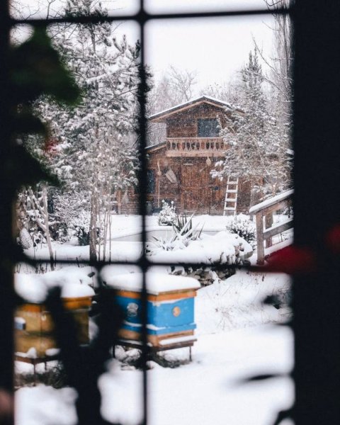 Leyla Əliyeva Qusarda "Kənd Həyatı" layihəsinin qonağı olub - VİDEO (FOTOLAR)