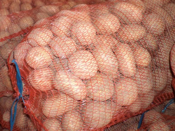 Azərbaycana 4 tondan artıq güvəli kartof gətirildi