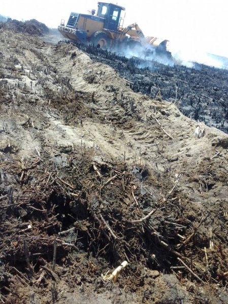 Sumqayıtı tüstüyə bürüyən ərazidən VİDEO+FOTO