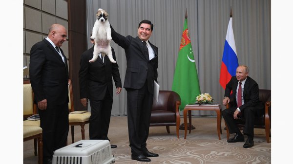 Türkmənistan prezidenti Putinə it bağışladı - FOTOLAR
