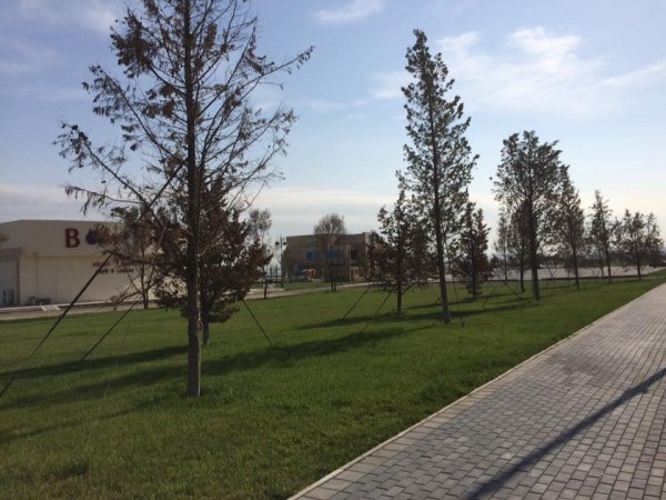 Sumqayıtda dəniz panoramalı mənzillər: bu kampaniyadan siz də yararlanın - VİDEO + FOTOLAR