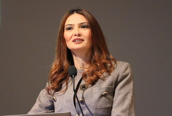 Azərbaycanlı deputatın Afrin çıxışı - Türk mediasında