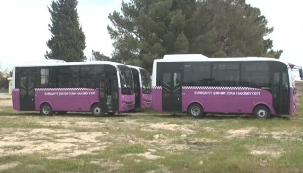 Sumqayıta yeni avtobuslar gətirilib - FOTOLAR