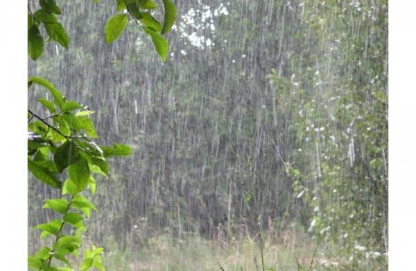 Yağış, külək, dolu - XƏBƏRDARLIQ