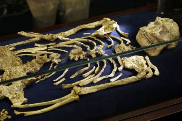 Paytaxtda mənzildən skeletləşmiş meyit tapıldı