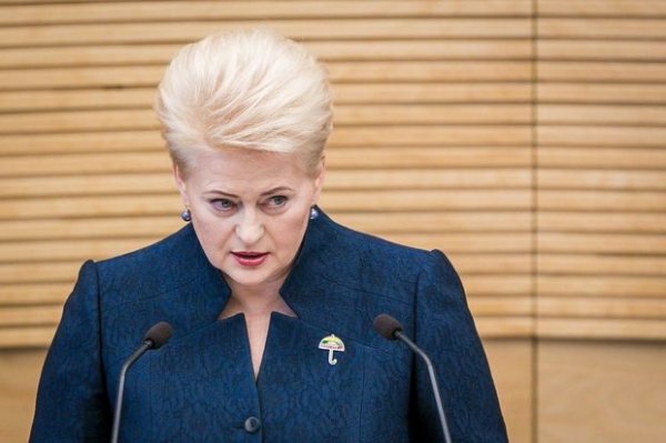 Litva Rusiyaya qarşı sanksiyalar tətbiq etdi