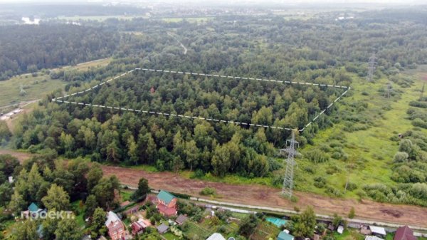 Azərbaycanlı aparıcı 45 milyona meşə aldı - FOTO