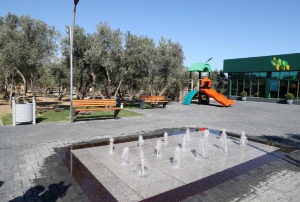 Mehriban Əliyeva "Zeytun Bağı" parkının açılışında (Fotolar)