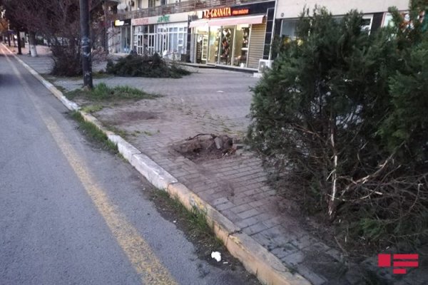 Sumqayıtda yol polisi əməkdaşı qəzaya düşdü: yaralılar var - FOTO