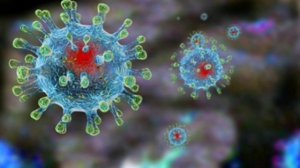 Yayda koronavirusdan necə qorunmalı – HƏKİM RƏYİ