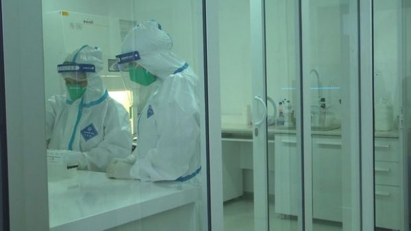 Sumqayıtda 4000 insan koronavirus testindən keçdi - VİDEO
