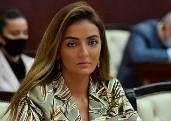 Azərbaycanlı deputat yersiz çıxışına görə cəzalandırıldı