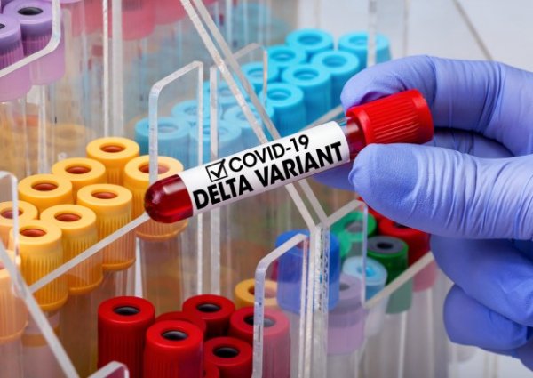 Vaksinasiya olunanlar "Delta" ştammına yoluxur?