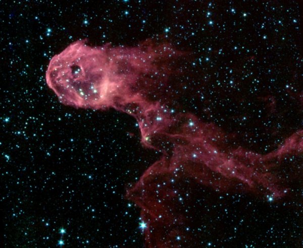 NASA kosmosda "fil" tapıb - FOTO