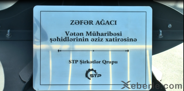 Sumqayıtda 3000 şəhidin xatirəsi "Zəfər ağac"ında - VİDEO (FOTOLAR)