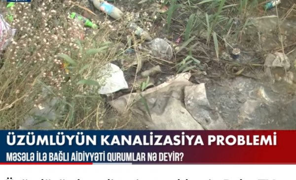 Sarayın "Üzümlük" yaşayış massivinin kanalizasiya problemi -VİDEO