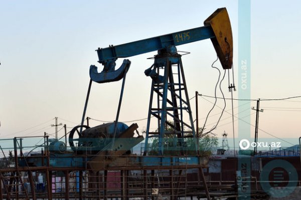 Azərbaycan neftinin qiyməti 77 dollara çatdı