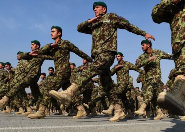“Taliban” nizami ordu yaradır