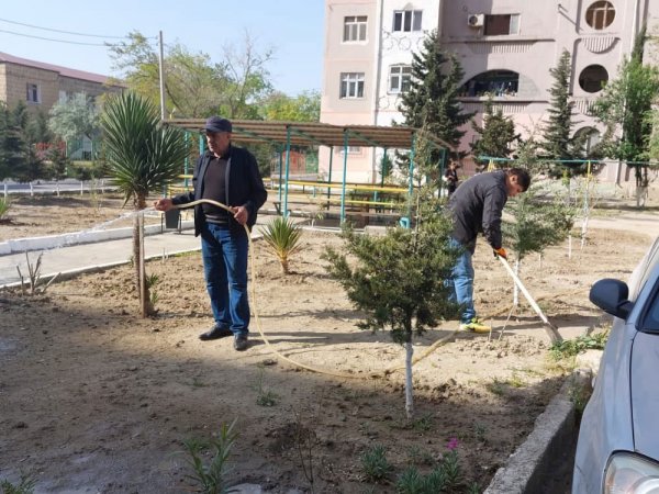 Sumqayıtda bu ərazilərdə iməcilik keçirilib - FOTO