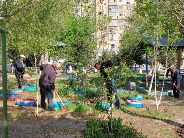 Sumqayıtda bu ərazilərdə iməcilik keçirilib - FOTO