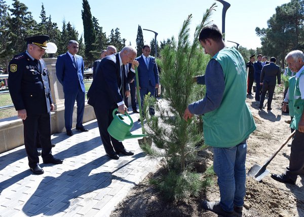 Sumqayıtda Anım Günü ilə əlaqədar ağacəkmə aksiyası keçirilib