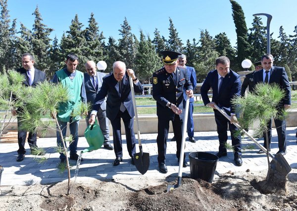 Sumqayıtda Anım Günü ilə əlaqədar ağacəkmə aksiyası keçirilib