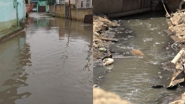 Sumqayıtda kanalizasiya suları evlərin altından keçir - VİDEO