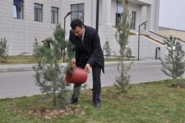 Sumqayıtda məhkəmə sədrləri və hakimlər ağac əkdilər - FOTOLAR