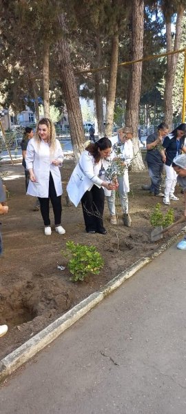 Sumqayıt Tibb Mərkəzində ağacəkmə aksiyası: “Ağaclar ağ ciyərlərimizdir” 