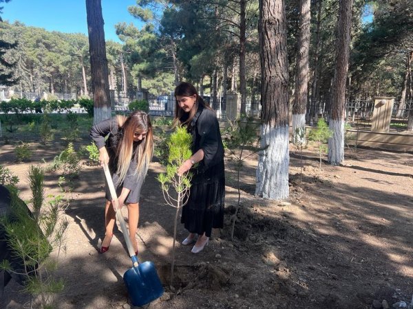 Sumqayıt Tibb Mərkəzində ağacəkmə aksiyası: “Ağaclar ağ ciyərlərimizdir” 