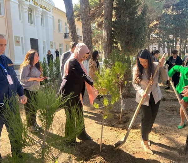 Sumqayıt Tibb Mərkəzində ağacəkmə aksiyası: “Ağaclar ağ ciyərlərimizdir” 