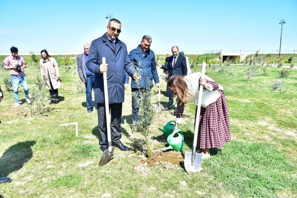 Sumqayıt şəhər Bulvarında “Heydər Əliyevin 100 illik yubileyi” ilə əlaqədar növbəti dəfə ağacəkmə aksiyası təşkil olundu - FOTO