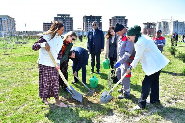 Sumqayıt şəhər Bulvarında “Heydər Əliyevin 100 illik yubileyi” ilə əlaqədar növbəti dəfə ağacəkmə aksiyası təşkil olundu - FOTO