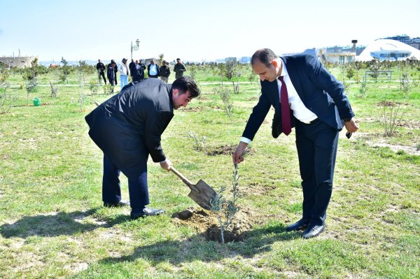 Sumqayıt şəhər Bulvarında “Heydər Əliyevin 100 illik yubileyi” ilə əlaqədar növbəti dəfə ağacəkmə aksiyası təşkil olundu - FOTO