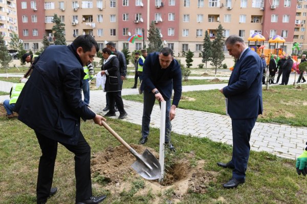 Sumqayıtda Heydər Əliyevin xatirəsinə həsr olunmuş ağacəkmə tədbiri keçirilib - FOTOLAR