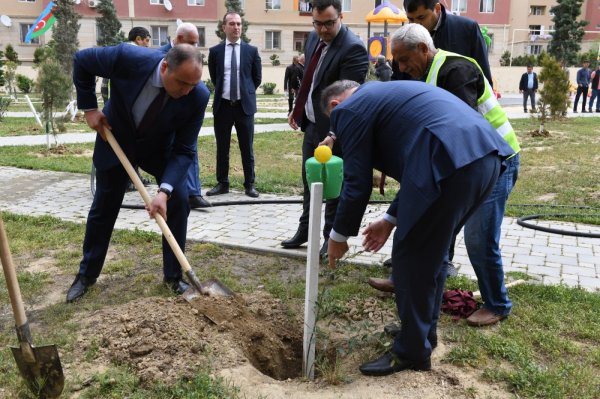 Sumqayıtda Heydər Əliyevin xatirəsinə həsr olunmuş ağacəkmə tədbiri keçirilib - FOTOLAR