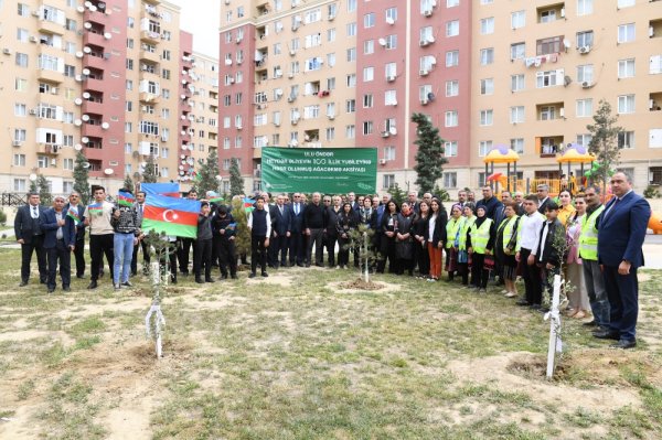 Sumqayıtda Heydər Əliyevin xatirəsinə həsr olunmuş ağacəkmə tədbiri keçirilib - FOTOLAR