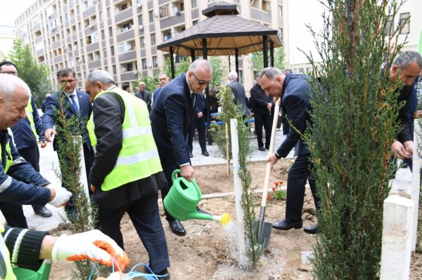 Sumqayıtda Heydər Əliyevin xatirəsinə həsr olunmuş ağacəkmə tədbiri keçirilib - FOTOLAR