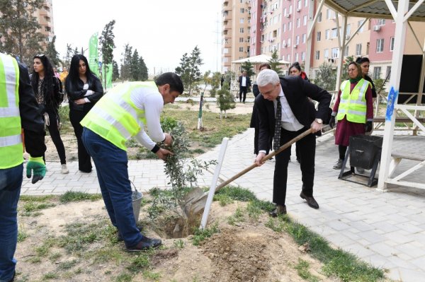 Sumqayıtda Heydər Əliyevin xatirəsinə həsr olunmuş ağacəkmə tədbiri keçirilib - FOTOLAR