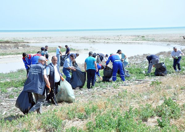 Sumqayıtda növbəti təmizlik aksiyası keçirilib