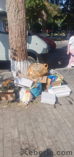 Sumqayıtda sənaye və məişət tullantılarının qalaqlanması aşkarlandı, 10-a yaxın şəxs cərimələnib - FOTOLAR