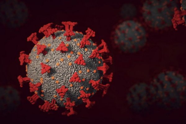 Koronavirusun insan orqanizmində gizli hissəcikləri aşkar edilib