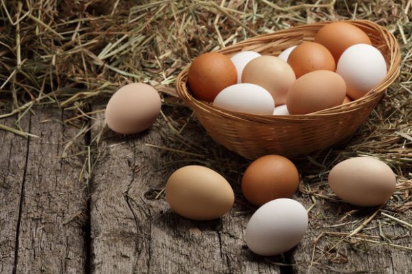 Yumurtanın qiyməti artdı - VİDEO