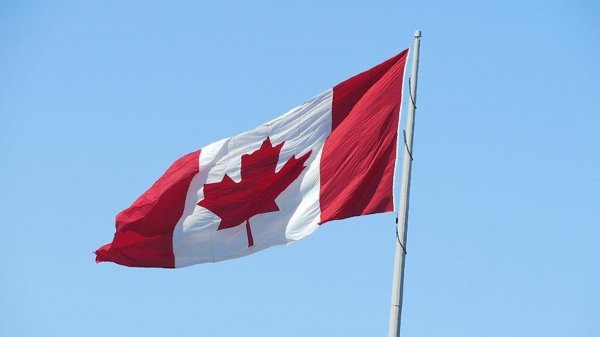 Kanada Türkiyəyə silah ixracına qoyulan embarqoları  ləğv etdi
