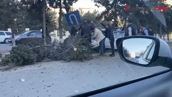 Sumqayıtda maşın bir neçə ağacı və yol nişanını yerindən qopardı (Foto) (Video)