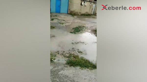 Sumqayıtda külək və yağışın fəsadları: Yazda payıza hazır olmayan sakinlər (FOTO + VİDEO)