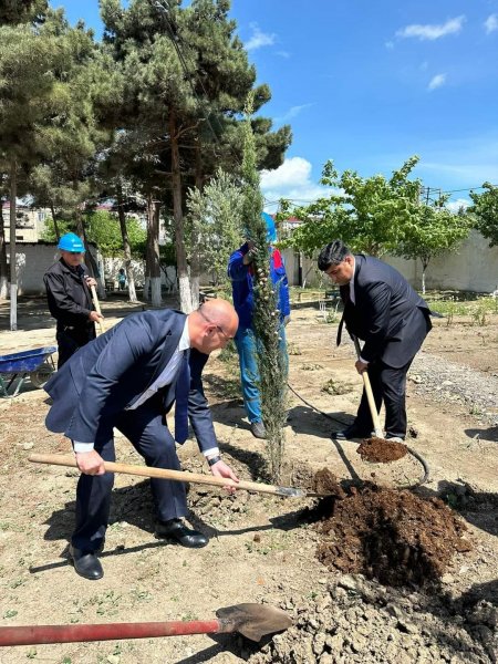 Sumqayıtda Ulu Öndərin 101 illiyi ilə bağlı 101 ağac əkildi (FOTO)