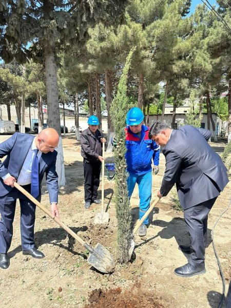 Sumqayıtda Ulu Öndərin 101 illiyi ilə bağlı 101 ağac əkildi (FOTO)