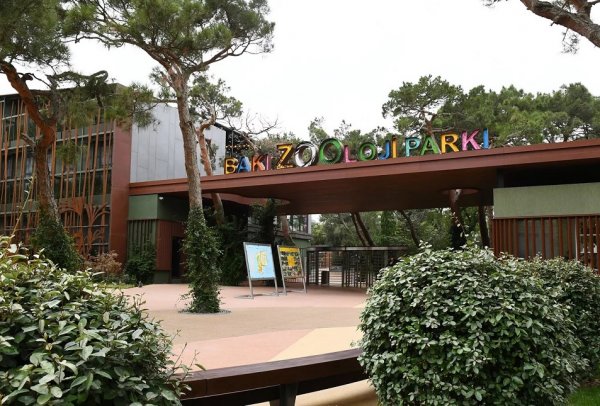 Bakı zooparkı qiymətləri qaldırdı