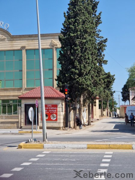 Sumqayıtda yeni quraşdırılan işıqforlar təhlükə saçır (FOTOLAR)